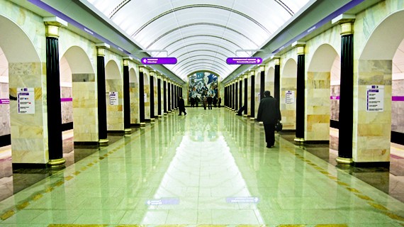 La linea viola 5